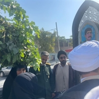 تصویر گالری
