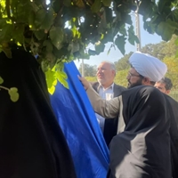 تصویر گالری